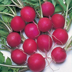 alan titchmarsh Radish Saxa 2 Seeds