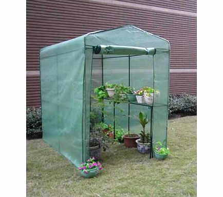 Argos Large Walk-in Greenhouse