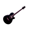 SL29CEQ Slim Body Electro-Acoustic