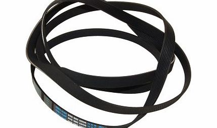 Tumble Dryer Drive Belt