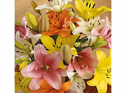 Luxury Lilies FMLX