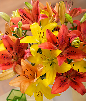 Luxury Lilies FMLXA