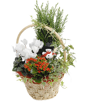 Winter Garden Basket XBASK