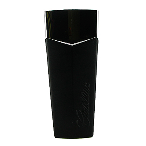 Black Eau de Toilette 100ml