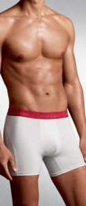 Calvin Klein Pro Stretch Boxer Brief