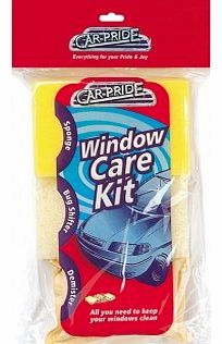 Car-Pride Window Car Care Sponges - Sponge Bug Shifter Demister