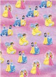 Disney Princess Gift Wrap 