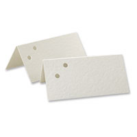 10 blank ivory 2-hole place cards