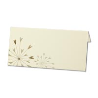 Confetti Love burst placecard (x10)