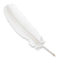 Confetti white ballpoint quill