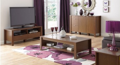 TV Unit