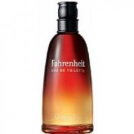 Dior Fahrenheit Eau De Toilette Spray 100ml