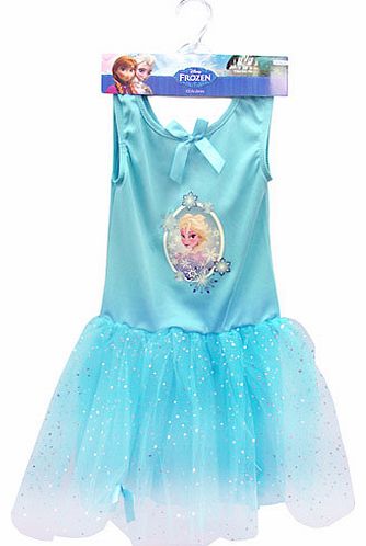 Elsas Costume - Medium (Age 5-6)