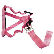 Dog car harness small