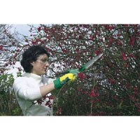 DRAPER 210Mm Folding Pruning Saw