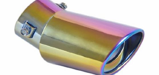 dwcx  CA01326 Exhaust Tail Rear Muffler Tip Pipe