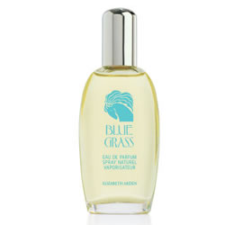 Blue Grass EDP by Elizabeth Arden 100ml