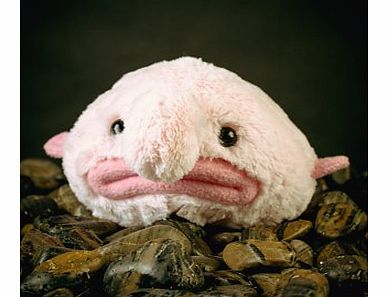 Stuffed Blobfish