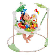 Rainforest Jumperoo Bouncer