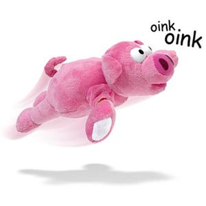 Pig