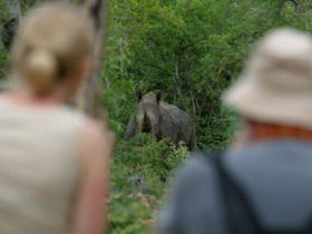 ranger course in South Africa