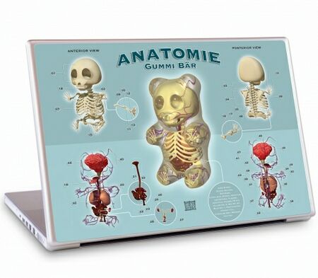 13 PC Laptop & MacBook GelaSkin Gummi Anatomie