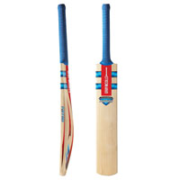 Nicolls Nitro Kashmir Willow Blast Cricket