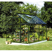 HALLS Popular Greenhouse 6`x 8`