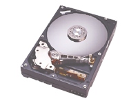 Deskstar 7K250 160GB 2Mb Cache 7200RPM HDD OEM