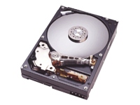 Deskstar 7K250 160Gb 8Mb Cache SATA150 OEM HDD