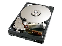 Deskstar 7K400 400Gb 8Mb Cache SATA150 OEM HDD