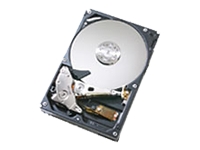 DeskStar T7K500 - hard drive - 400 GB - SATA-300