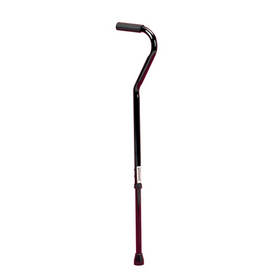 Bariatric Walking Cane