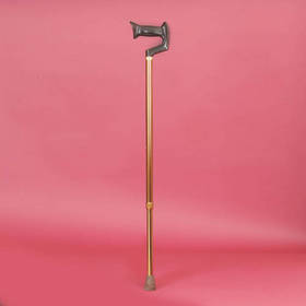 York Handle Adjustable Stick