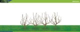 Hornby R8939 Deciduous 63mm Pk 4 00 Gauge Skale Scenics Tree Armatures