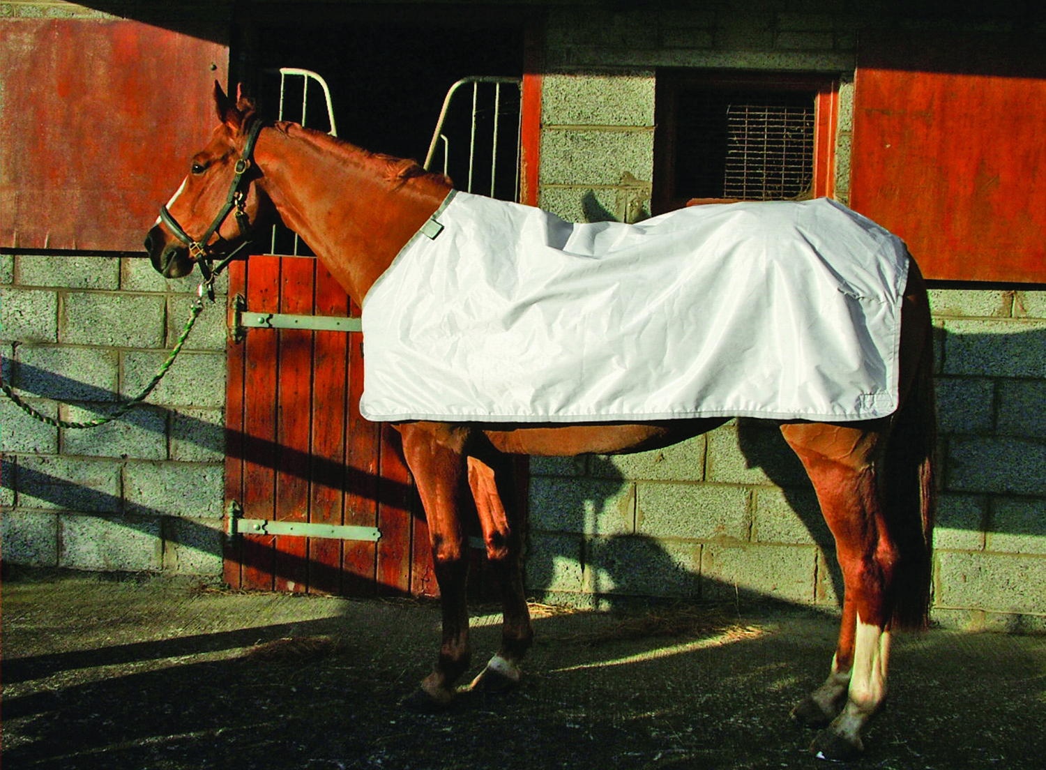 Fly Rug Liner (White) - 5`6