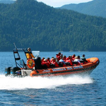 Howe Sound Sea Safari - Child