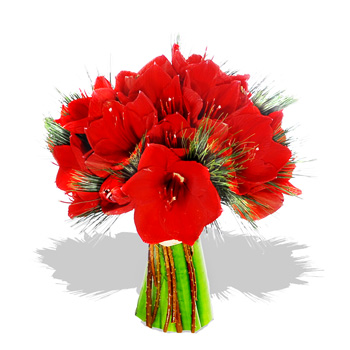 Red Amaryllis Bouquet - flowers