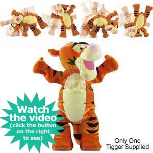 Fisher Price Tumble Time Tigger