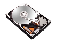 DiamondMax 10 120GB 7200RPM 8Mb HDD OEM