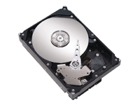 DiamondMax 21 - hard drive - 250 GB - ATA-100