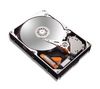 MAXTOR DiamondMax Plus 10 - 300GB - 7200RPM - 16MB - UDMA133 (bulk version)