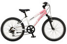 Rockadile 2008 Kids Bike