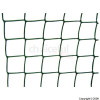 50mm Mesh Size Green Climbing Plant