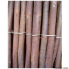 Willow Screen 2Mtr x 3Mtr