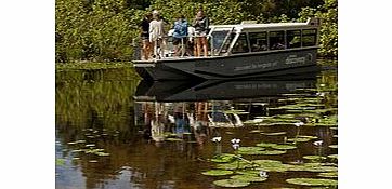 Noosa River Everglades BBQ Lunch Cruise - Child