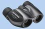 10X21 DPC-1 BINOCULARS