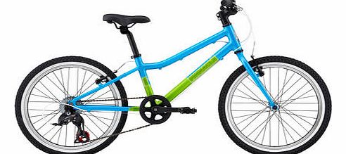 Ash 20 Inch Kids Bike