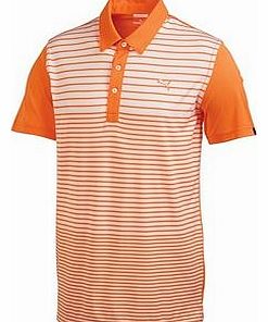 Mens Yarn Dye Stripe Polo Shirt 2014