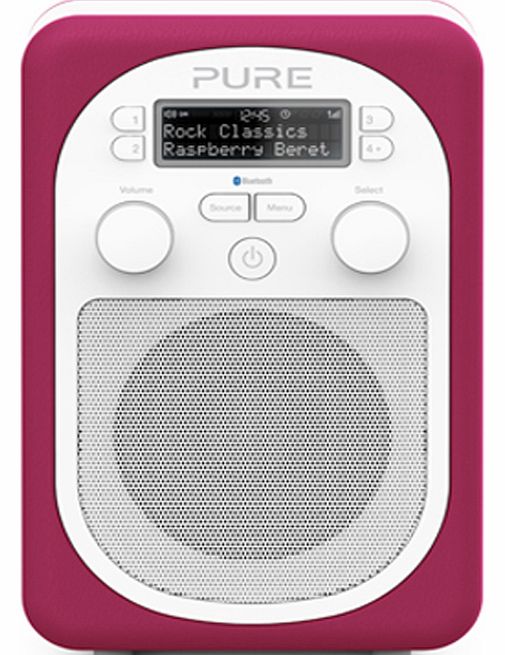 Pure EVOKED2-MIO-RASP Radio